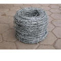 Electro Galvanized Barbed Wire in Good Quality